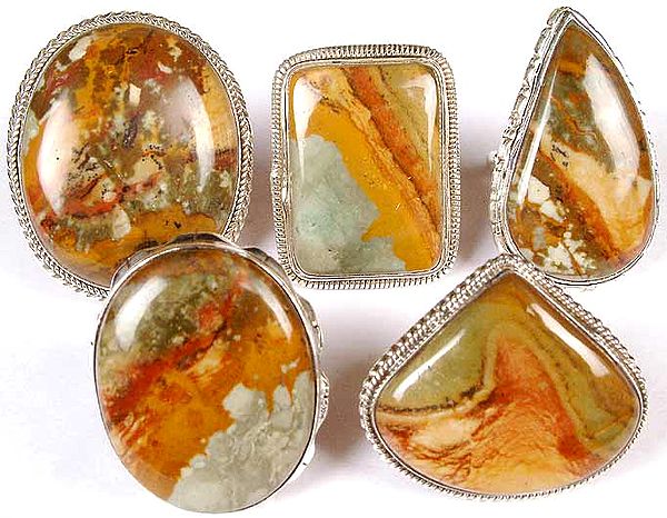 Lot of Five Picture Jasper Rings