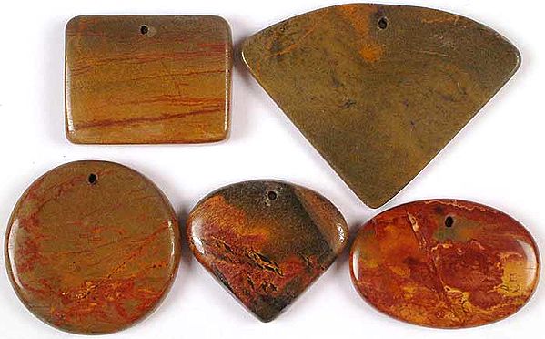 Lot of Five Picture Jasper Top-Drilled Cabochons