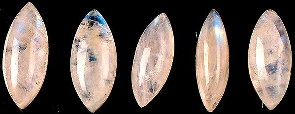 Lot of Five Rainbow Moonstone Marquis Cabochons