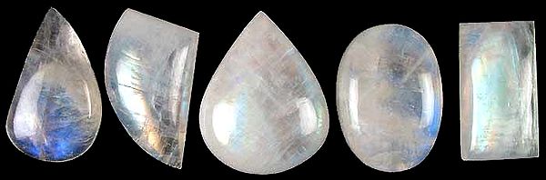 Lot of Five Rainbow Moonstone Undrilled Cabochons