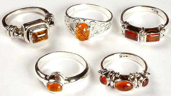 Lot of Five Small Amber Rings