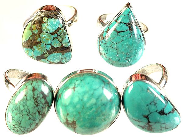 Lot Of Five Spider S Web Turquoise Rings Exotic India Art