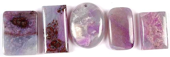 Lot of Five Sugilite Undrilled Cabochons