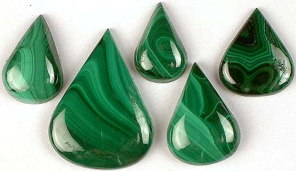 Lot of Five Tear Drop Malachite Undrilled Cabochons