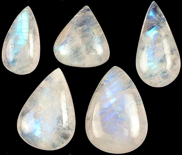 Lot of Five Tear Drop Rainbow Moonstone Undrilled Cabochons
