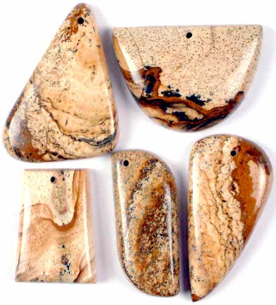 Lot of Five Top-Drilled Picture Jasper Cabochons