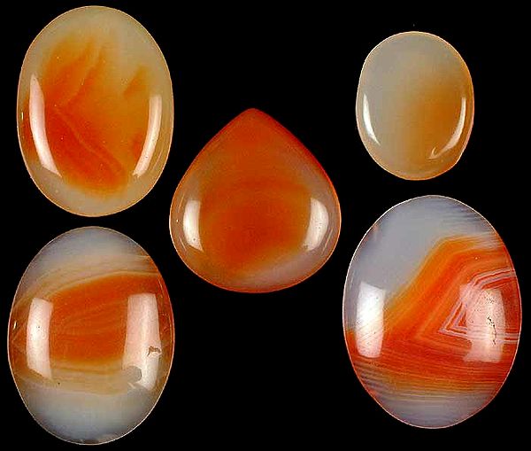 Lot of Five Undrilled Carnelian Cabochons