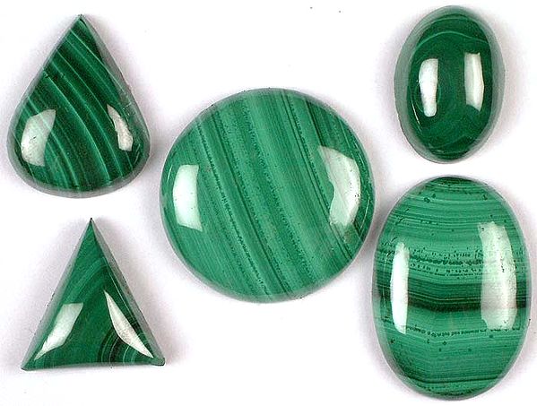 Lot of Five Undrilled Malachite Cabochons