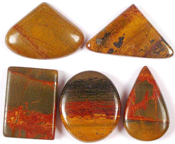 Lot of Five Undrilled Picture Jasper Cabochons