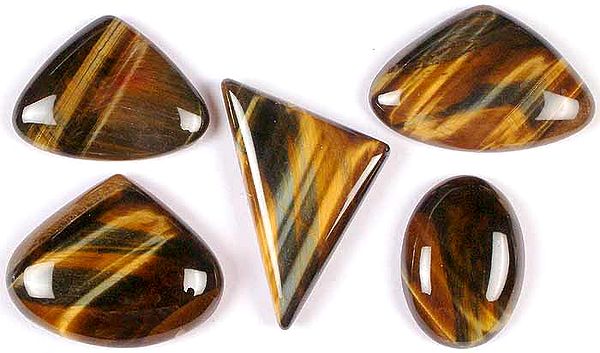 Lot of Five Undrilled Tiger Eye Cabochons