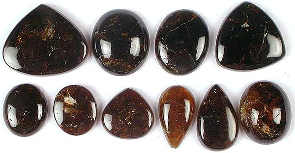Lot of Ten Brown Tourmaline Undrilled Cabochons