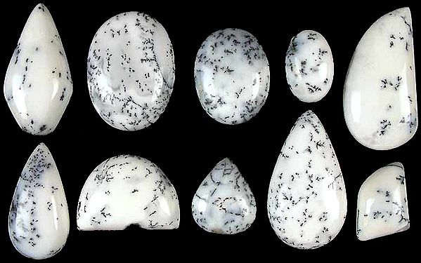 Lot of Ten Dendrite Opal Undrilled Cabochons