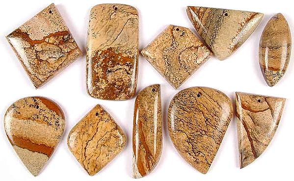 Lot of Ten Picture Jasper Cabochons (Both Side & Top Drilled)