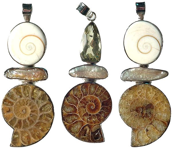 Lot of Three Fossil Pendants with Pearl and Lemon Topaz