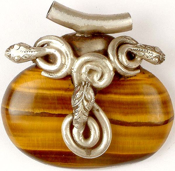 Oval Tiger Eye Pendant with Serpents