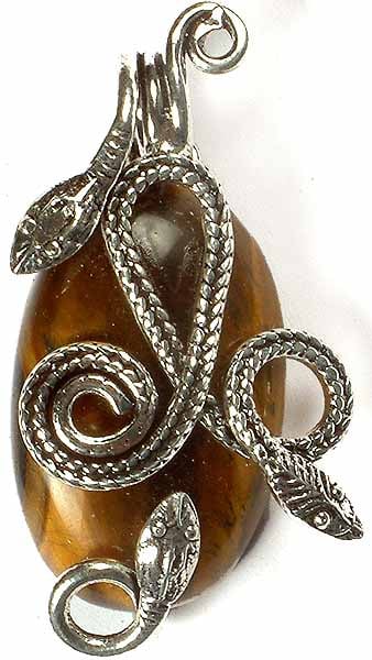 Oval Tiger Eye Pendant with Serpents