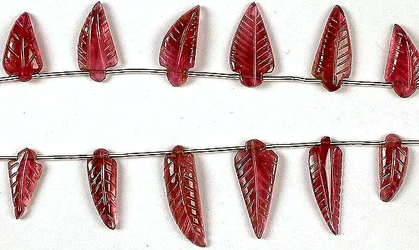 Pink Tourmaline Carved Leaves