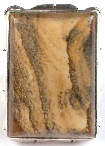 Rectangular Picture Jasper Ring