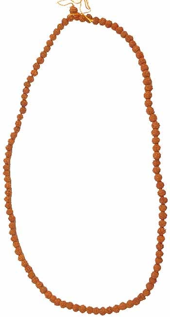 Rudraksha Mala with 108 Beads