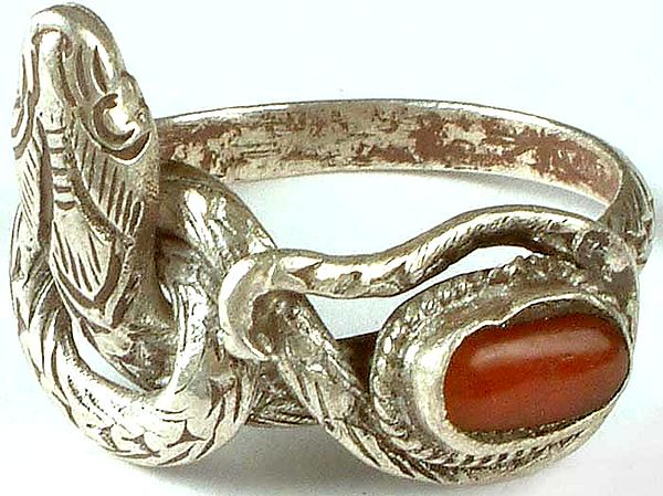 Serpent Ring with Coral
