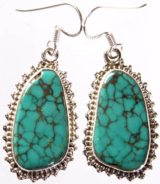 Spider's Web Turquoise Earrings