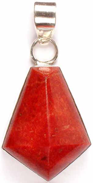 Sponge Coral Pendant (Cinnabar)