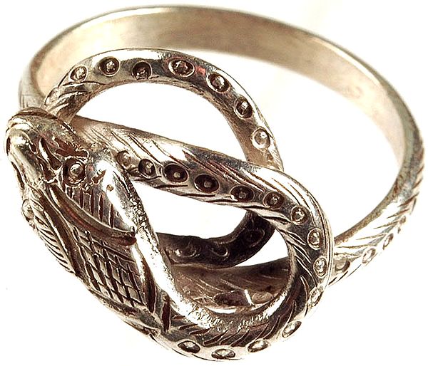 Sterling Finger Ring of Serpent