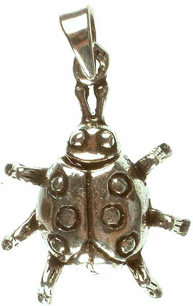 Sterling Turtle Pendant