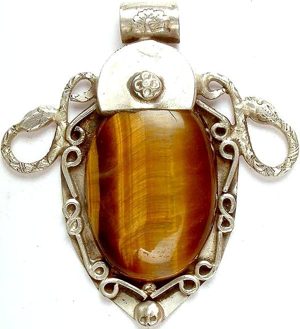 Tiger Eye Pendant with Serpents