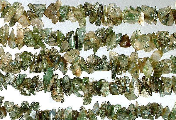 Tree Agate Chips