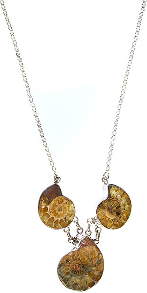 Triple Fossil Necklace