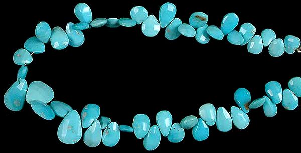 Turquoise Faceted Briolette