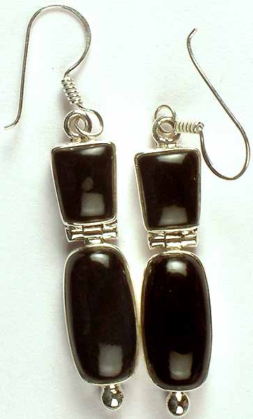 Twin Black Onyx Hinged Earrings