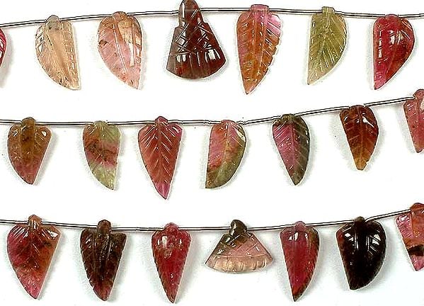 Watermelon Tourmaline Carved Leaves