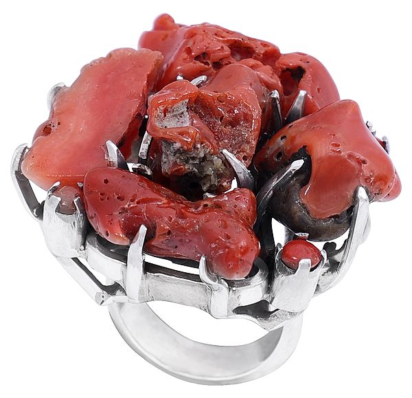Sterling Silver Ring Studded with Rugged Red Coral
