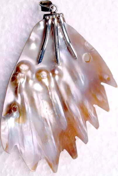 Feather Pendant of Shell