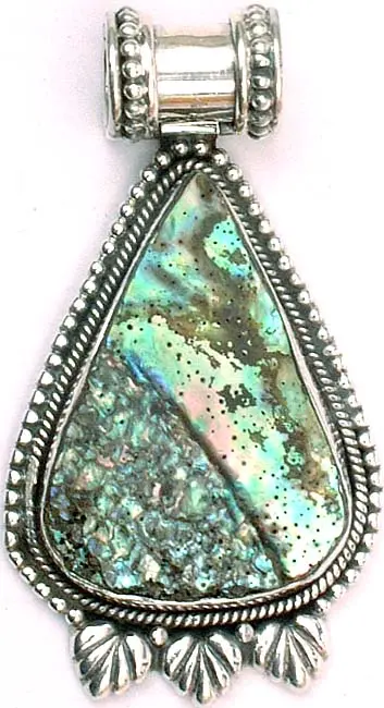 Shell Drop Pendant