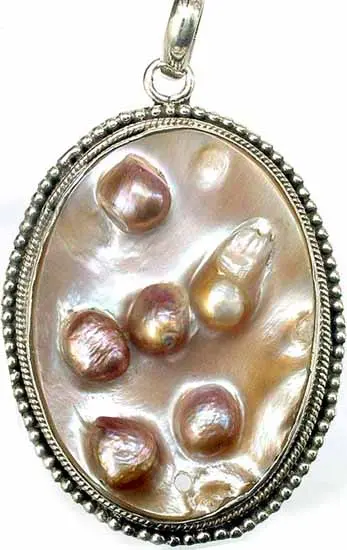 Shell Pendant