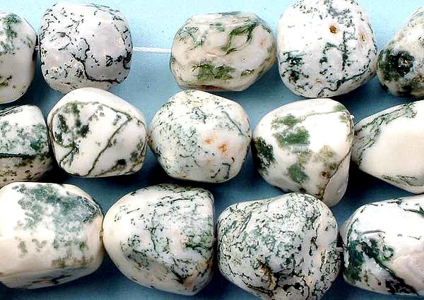 Tree Agate Nuggets