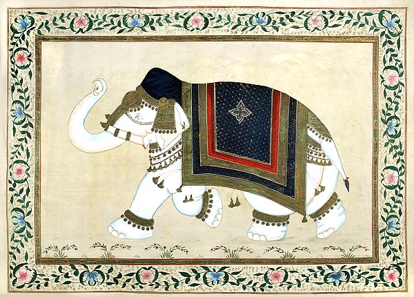 Royal Elephant Framed in a Floral Border (Old Looking Painting)