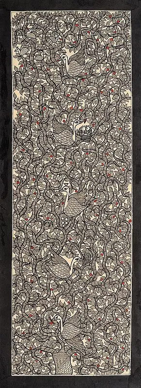 Birds on Tree Top