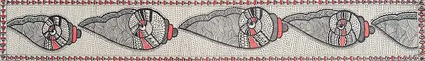 Series of Conches