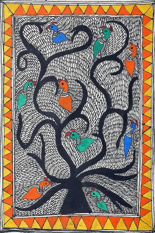 Birds on Tree of Life