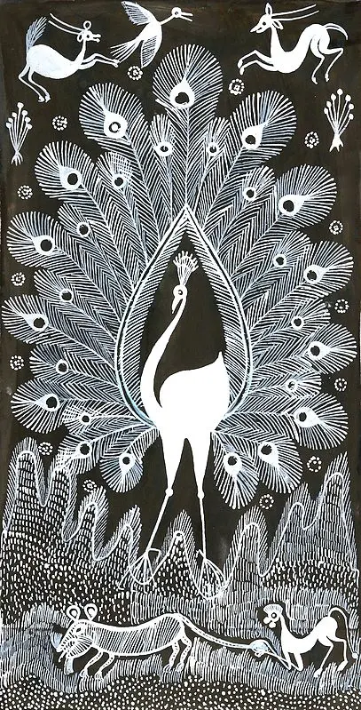 Peacock Dancing in The Jungle