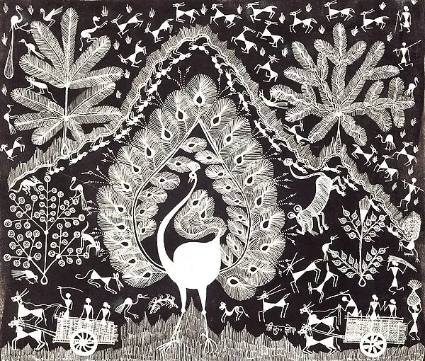 Dancing Peacock in Jungle