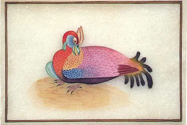 Turkey
