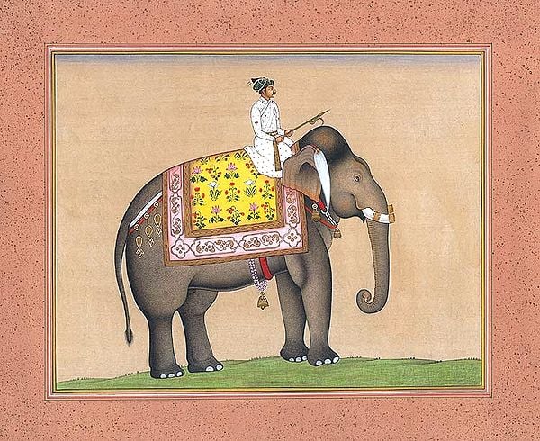 An Elephant from the Royal Stables
