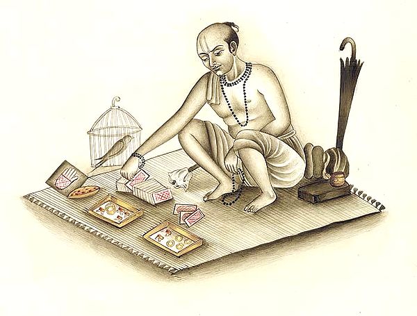 Astrologer (Tarot Card Reader?)