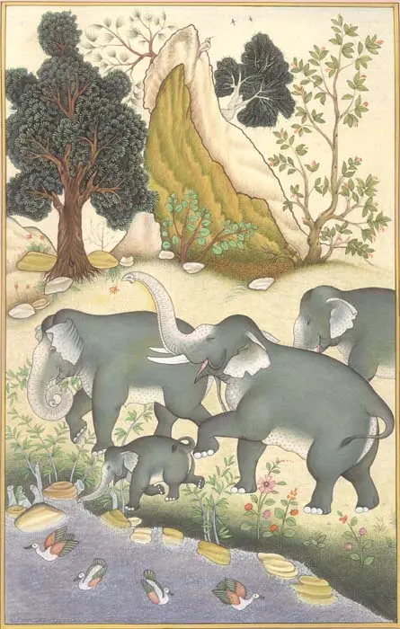 Elephant Herd