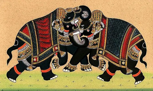 Elephants Combat